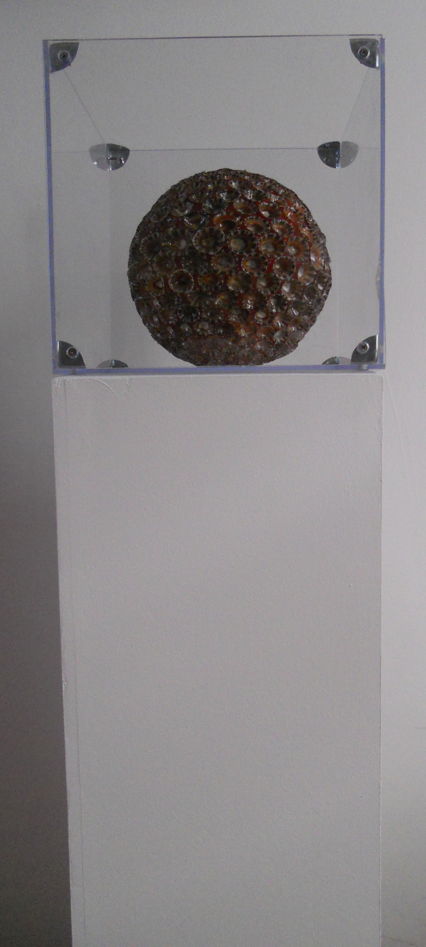 MW 28 (Hohe Aufl&ouml;sung)